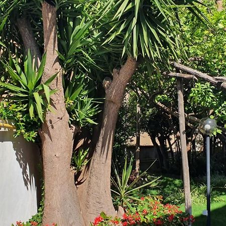 Maria Maddalena Holiday House Вико-Экуенсе Экстерьер фото